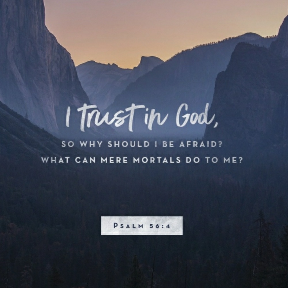 Psalms 56:4